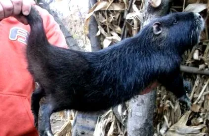 arra figyelmeztetnek hogy