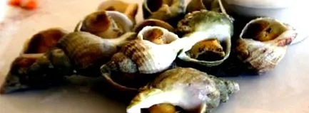 szerepe