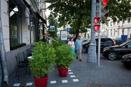 Amikor a fák nagy, frissebb - a legjobb a nap, amit valaha is szüksége van!