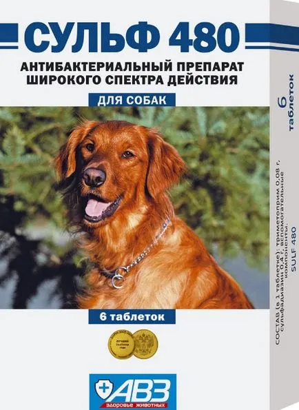 Coccidiosis Kutyák - tünetek és kezelés