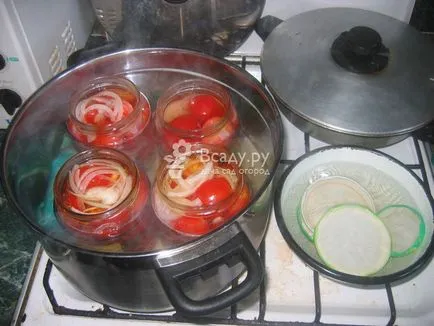 Canning zöldségek téli receptek fényképpel tippek és trükkök