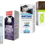 Cat Cat akar népi jogorvoslati, ha a sikoltozó hogyan nyugodt otthon (csinál) Cat Cat akar népi jogorvoslati, ha a sikoltozó hogyan nyugodt otthon