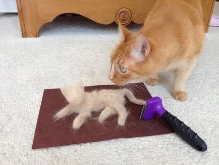 Cat erősen elhalványul, a jelenség okait,