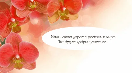 Szép szavak anya