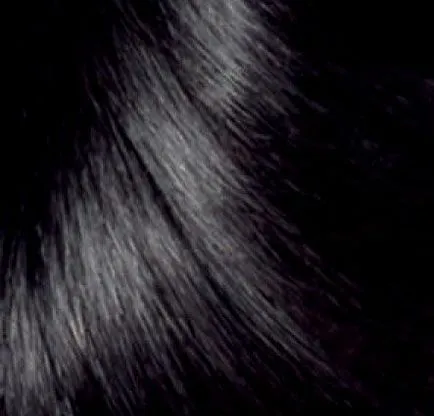 Palettáról ekselans Loreal, mydeepinside