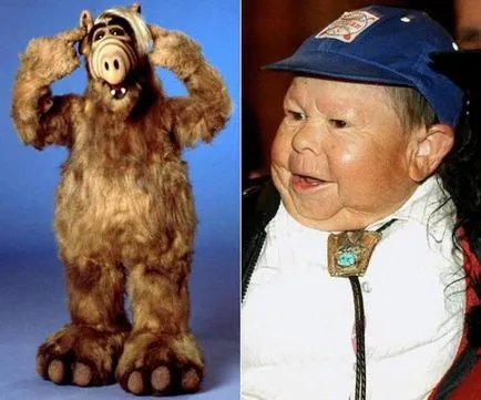 Ki az, aki - Alf színész mögé bújva a baba (baba) Ki az, aki - Alf színész mögé bújva a babát