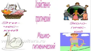 Kultúra és természet - kapcsolat és szempontjai interakció