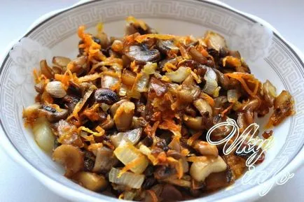 Csirke tekercs gombával recept fotó 1
