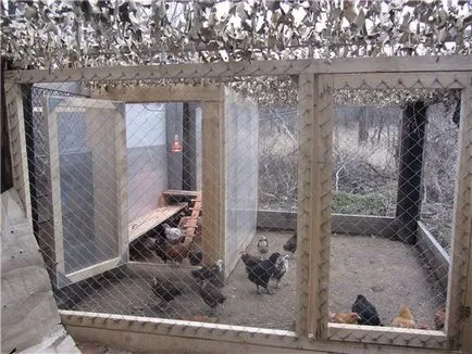 A tyúkól tojótyúkok kezüket, videók, fotók