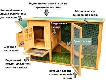Tyúkól tojótyúkok a kezüket -, hogyan kell építeni rendesen!