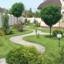 Táj fotó fák és cserjék a kertben, a készítmények fák és bokrok (fák) Kertészet Photo fák és cserjék a kertben, a készítmény a fák és cserjék