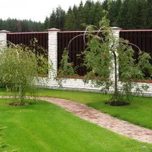 Táj fotó fák és cserjék a kertben, a készítmények a fák és cserjék (tervezés) Kertészet Photo fák és cserjék a kertben, a készítmény a fák és cserjék