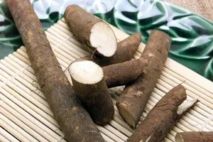 Bojtorján receptek hajhullás és használata főzetek és főzetek a gyökér (receptek) Bojtorján receptek hajhullás és használata főzetek és főzetek a gyökér
