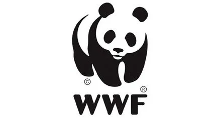 panda logo