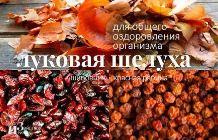 Hagyma héja a népi gyógyászatban (hagyma) Hagyma héja a népi gyógyászatban