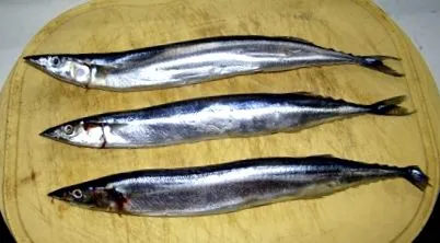 zsíros