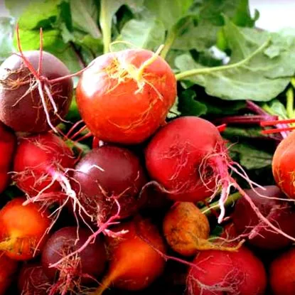 antioxidánsban tiszta