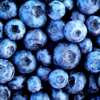 egészség antioxidánsban