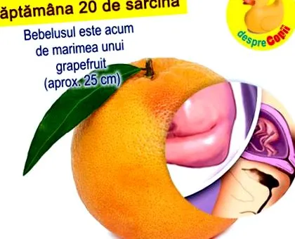baba születése után