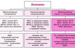 megalocytic vérszegénység