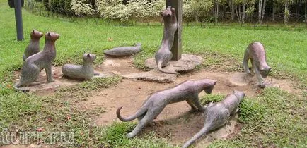 Malajzia, Borneo, Sarawak Múzeum és Műemlékek macskák macskák macskák Kuching (40 fotó)