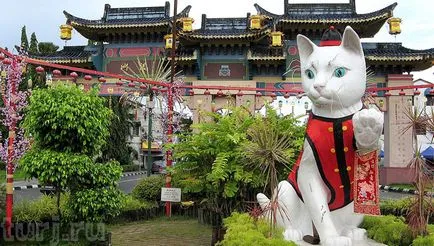Malajzia, Borneo, Sarawak Múzeum és Műemlékek macskák macskák macskák Kuching (40 fotó)