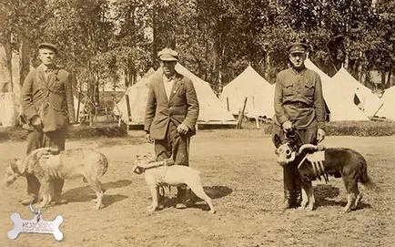 Kis hősök utászok kutya, orvosok, jeladók (a Nagy Honvédő Háború) Kis hősök utászok kutya, orvosok, jeladók