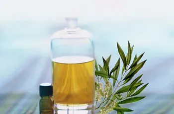 A teafaolaj, a használata arc bőr, akne, haj kezelésére, 20 otthon