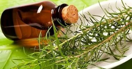 A teafaolaj az akne, pattanások az arcon a foltok után pattanások - ingatlan, hogyan kell használni a (tea) A teafaolaj az akne, pattanások az arcon a foltok után pattanások - ingatlan, hogyan kell alkalmazni