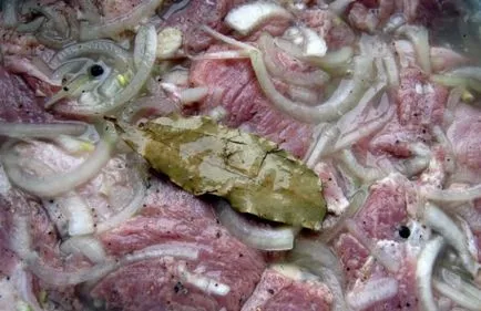 Levek ízletes sertésborda a sütőbe, és a grill (sütő) Levek ízletes sertésborda a sütőbe, és a grill