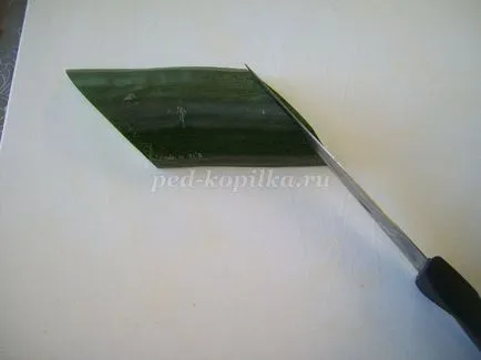 Mesterkurzus lépésről lépésre fotó (lépésről lépésre) Mesterkurzus lépésről lépésre fotók