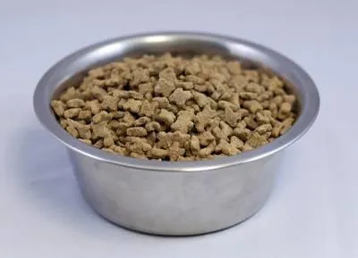 Macskák alsó húgyúti betegség okoz, tünetei, kezelése és következményei