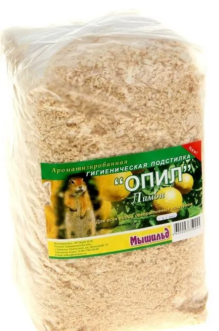 Egér otthoni, kis kis állat - nagy öröm (cella házi egér) Egér otthoni, kis kis állat - nagy öröm