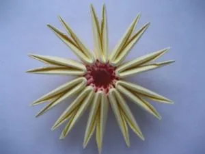 Moduláris origami színek áramköri szerelvényből (kör) Moduláris origami virágok áramköri szerelvényből