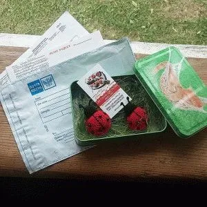 Saját tapasztalat értékesítési, divat
