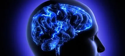 Brains, szerelem, a tudat, a boldogság és a szív
