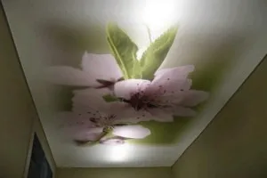 Álmennyezetek a teremben, fotók álmennyezetek a teremben