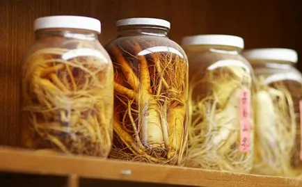 Ginseng tinktúra használati utasítást, előnyök és ártalmak
