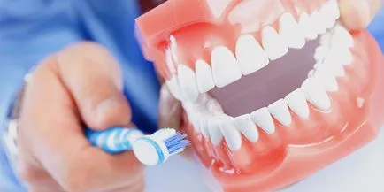 Nylon fogsor fogai részleges és teljes jellemzők és mutatók (a teljes hiánya a fogak) Nylon protetikai fogak részleges és teljes jellemzők és az árak