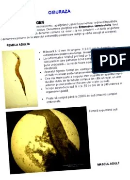 pinworms leírása