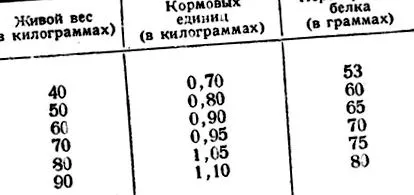 teljes