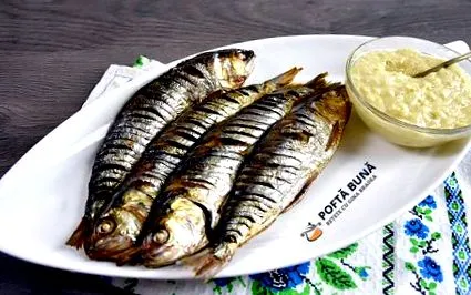 скумбрія