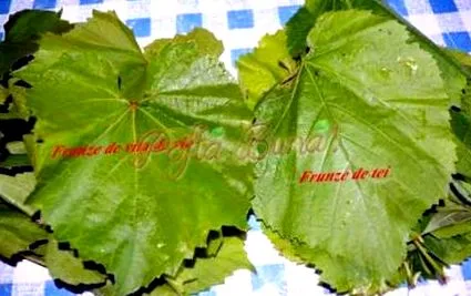 sarmale csirkemellből