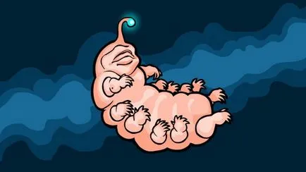 Hírek a tudomány - a rejtélyt a származási élet a Földön (élet) Hírek a tudomány - a rejtélyt a származási élet a Földön