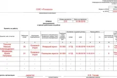 Minta munkaszerződést igazgatója LLC 2017-ben - általában több alapító,