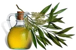 Anti-aging arckrém otthon receptek (videó)