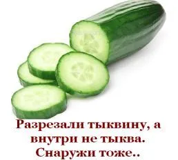 Uborka - még egy bogyó vagy növényi