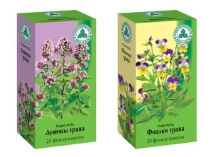 Tisztítása hörgők és a tüdő népi jogorvoslati otthon