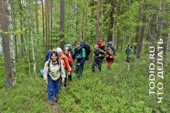 kampány szervezés