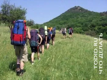 kampány szervezés